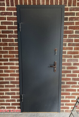 узкая входная дверь с темно-серым порошковым напылением снаружи.jpg