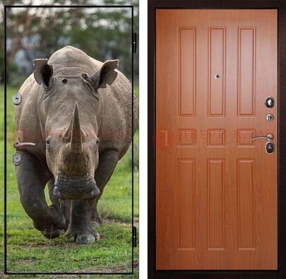 Металлическая дверь с фотопечатью носорога ДФ-31 в Рузе